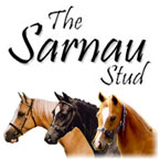 The Sarnau Pony Stud